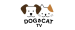 Dog & Cat TV